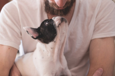I benefici di vivere con un animale domestico
