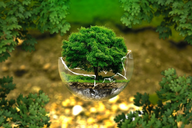 Psicologia dell'ambiente