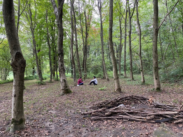 EcoCounseling nel bosco