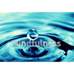 Introduzione alla Mindfulness per Psicoterapeuti