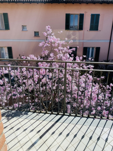 La vista dal terrazzo dello studio