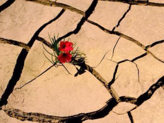 Autoefficacia e resilienza. Rafforza le tue capacità