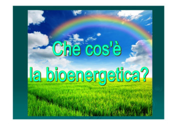 Bioenergetica e salute