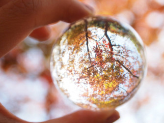 Dalla teoria alla pratica
