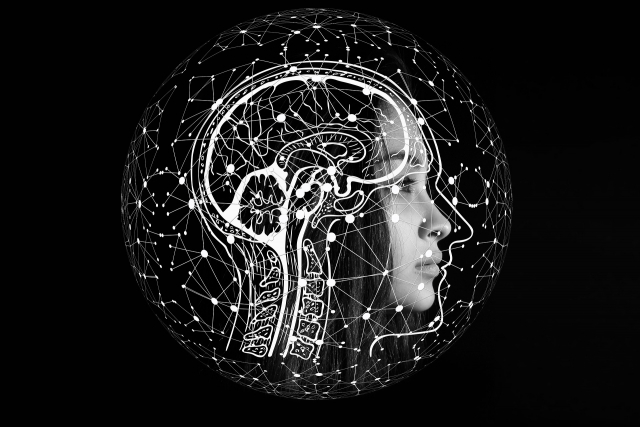 Psicologia giuridica: neuropsicologia forense